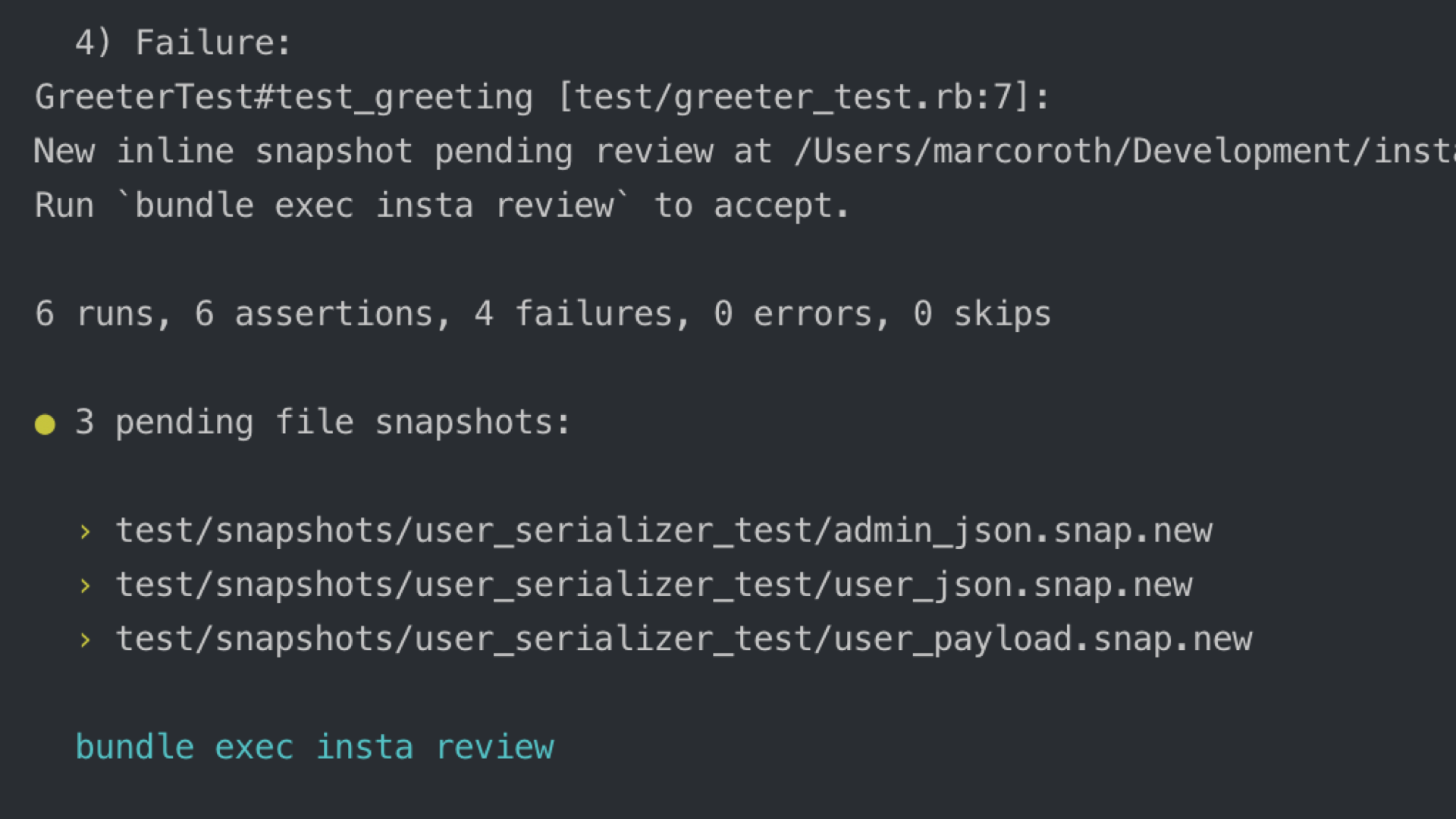 End of the test run: 3 pending .snap.new files listed under test/snapshots/, with the insta review hint
