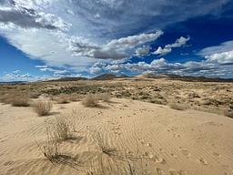 Mojave National Preserve, CA